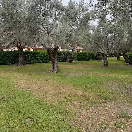 Nel Villaggio Il Monolocale Tra Gli Ulivi Apartament *