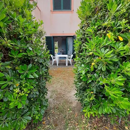 Nel Villaggio Il Monolocale Tra Gli Ulivi