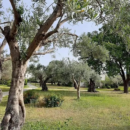 Apartament Nel Villaggio Il Monolocale Tra Gli Ulivi
