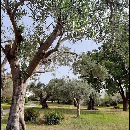 Nel Villaggio Il Monolocale Tra Gli Ulivi Sant'Andrea Apostolo dello Ionio